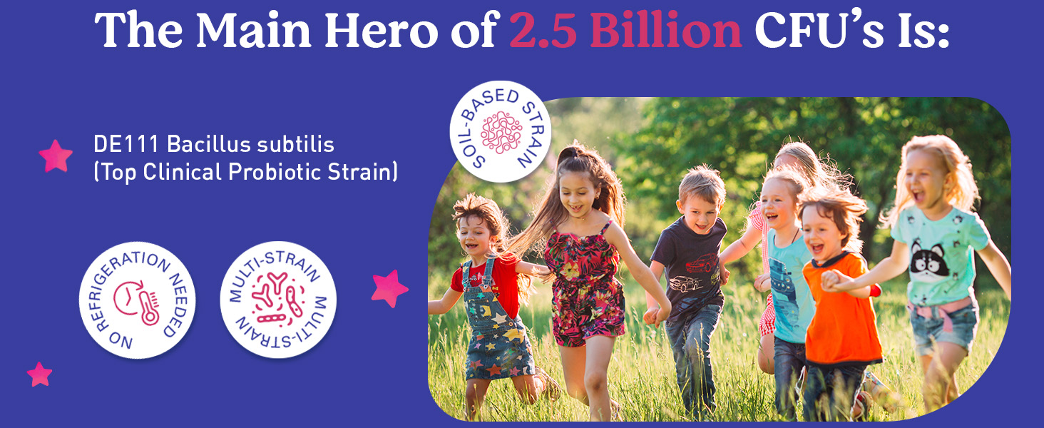 probiotic gummies Bacillus subtilis strawberry flavor