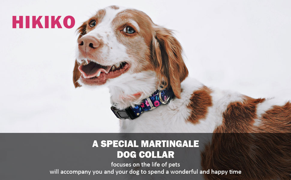 martingale collars for dogs