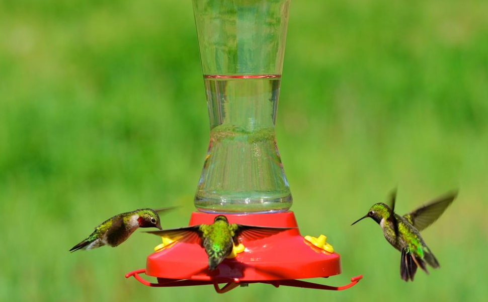 CHICIRIS Hummingbird Feeder Replacement Flowers, 30 Pieces Hummingbird