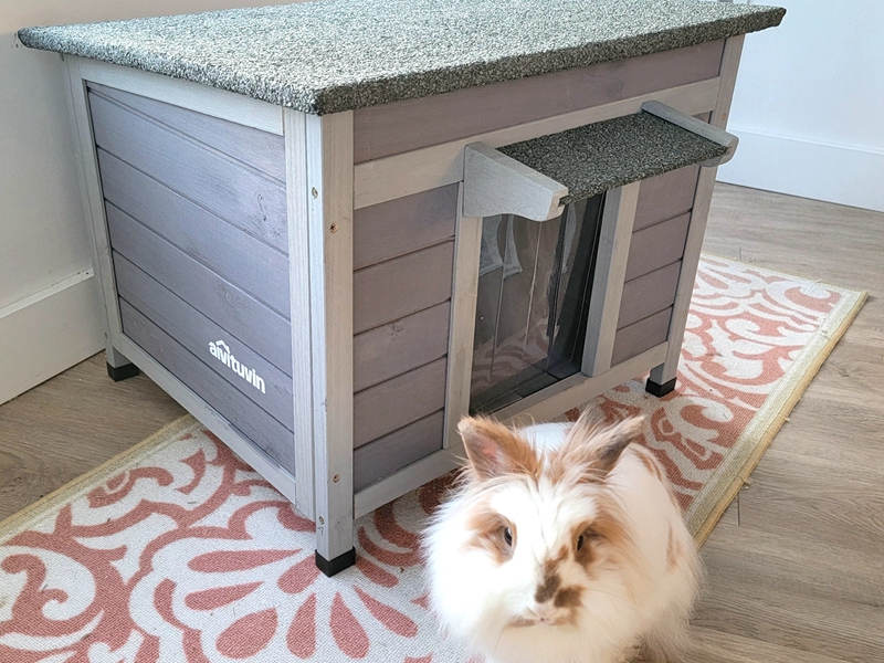 Cat House Outdoor Dog House with Insulation Liner Rabbit