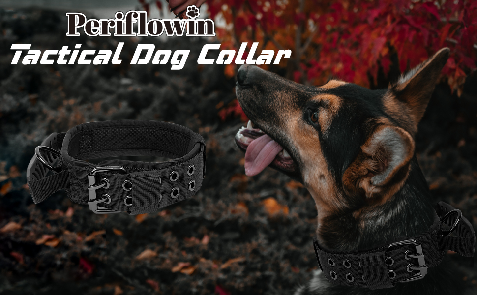 Tactical Dog Collar and Lead Set Military Dog Collar Training Collar