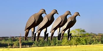 Small manufacture image 6