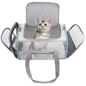 small cat carrier