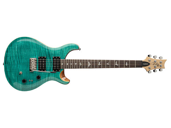 Amazon.com: PRS SE Custom 24-08 Electric Guitar, Turquoise