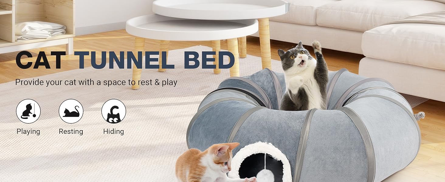 cat tunnel  