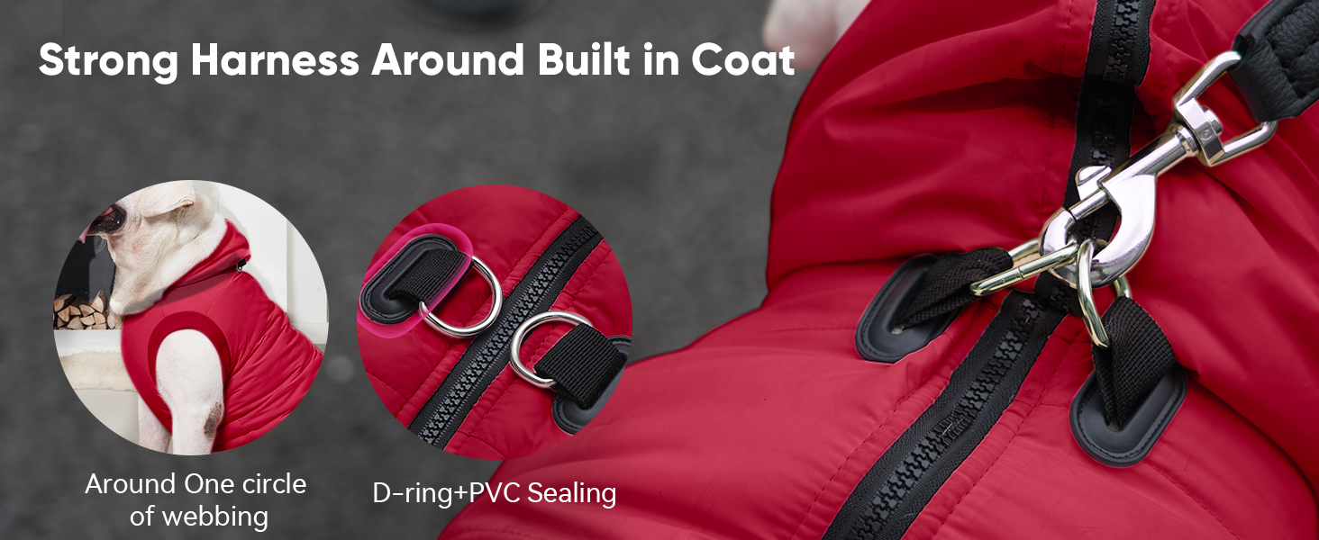 Extra Warm Medium Dog Jacket in Winter Doggie Coats with Hooded