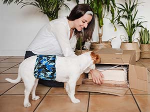 Small manufacture image 4