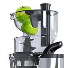 Slow Juicer, Mixer Grinder, Lifelong Slow Juicer, lifelong Mixer Grinder, 