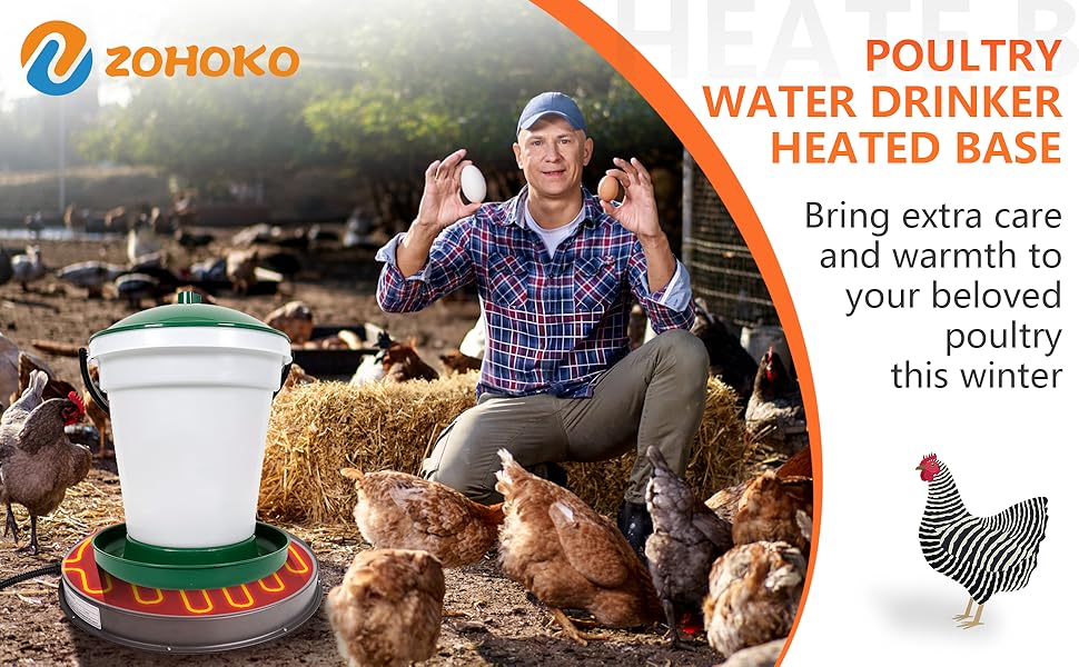 chicken water heater