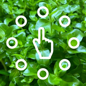 Interaktive Berührungspunkte, die auf grünem Laubhintergrund dargestellt sind und neun kreisförmige Markierungen zeigen, die in einem Kreis mit einem Handsymbol in der Mitte angeordnet sind.
