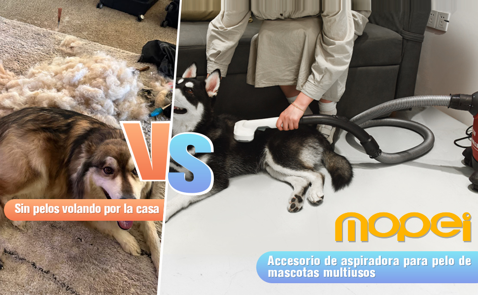 Imagen dividida que compara dos escenarios de peluquería canina. La izquierda muestra el pelo suelto, la derecha muestra la herramienta de aseo que se utiliza en un perro