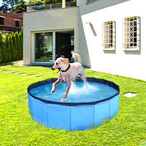 cat pool