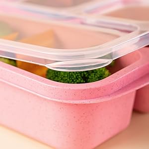 Bento Snack Box