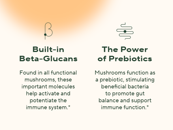 Functional mushrooms deliver beta-glucans and prebiotics that support immune health