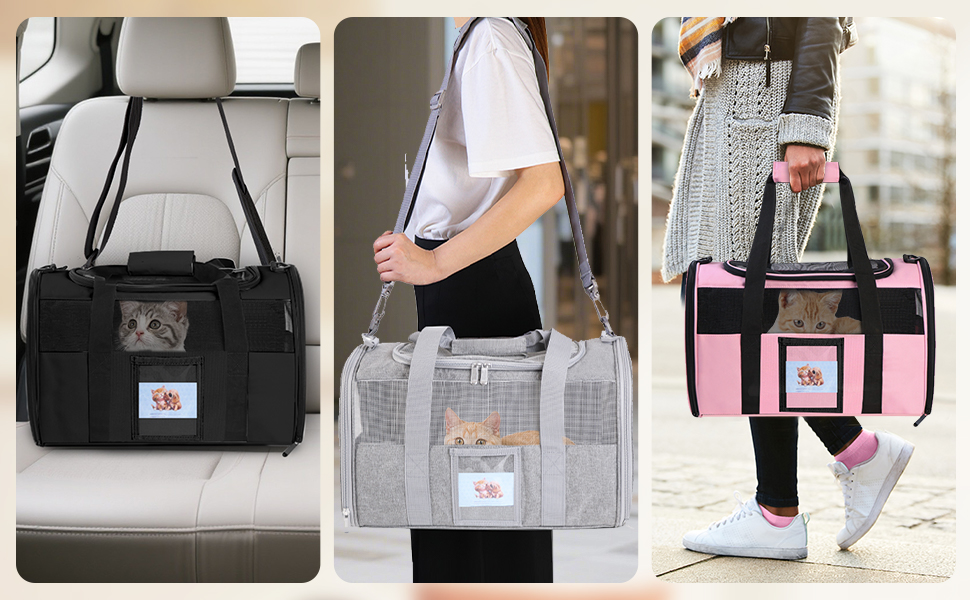 cat stroller with detachable carrier