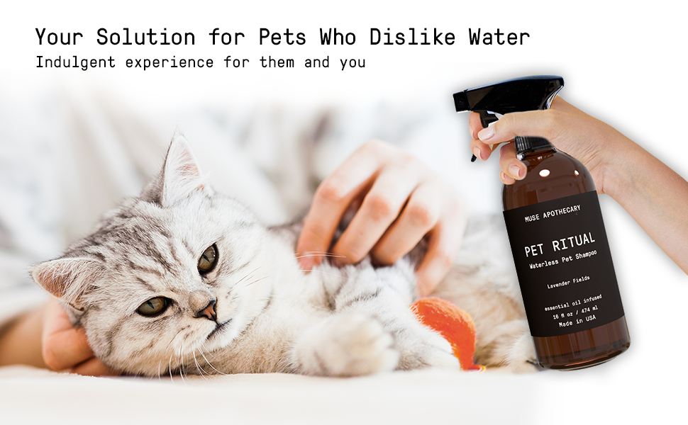 Muse Apothecary Pet Ritual Aromatic Waterless Shampoo for