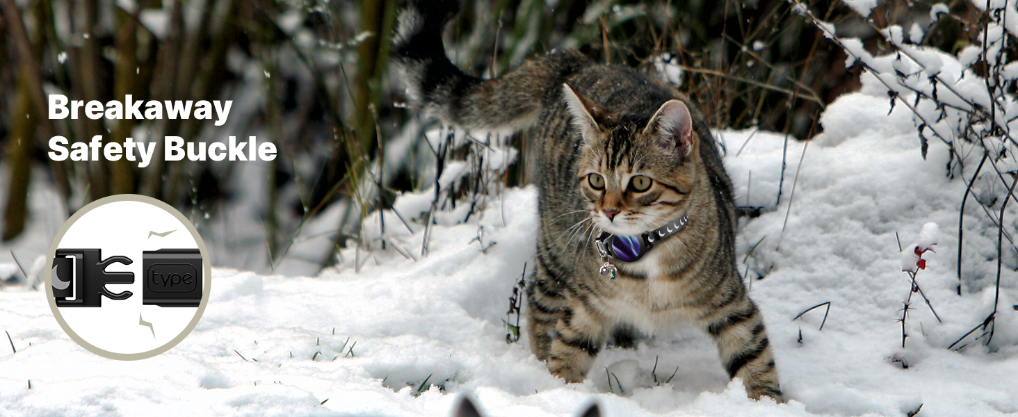 cat collar breakaway airtag
