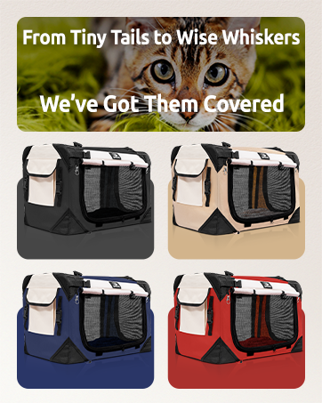 PetLuv cat dog pet carrier and stroller and carrier on wheels pull along carrier soft sided crate