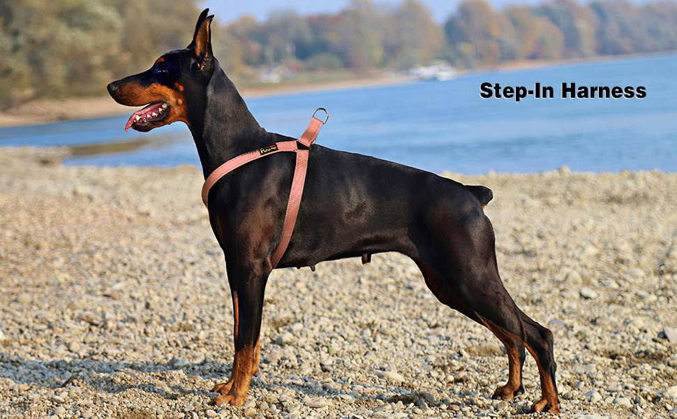 extra smworldnet027 dog harness