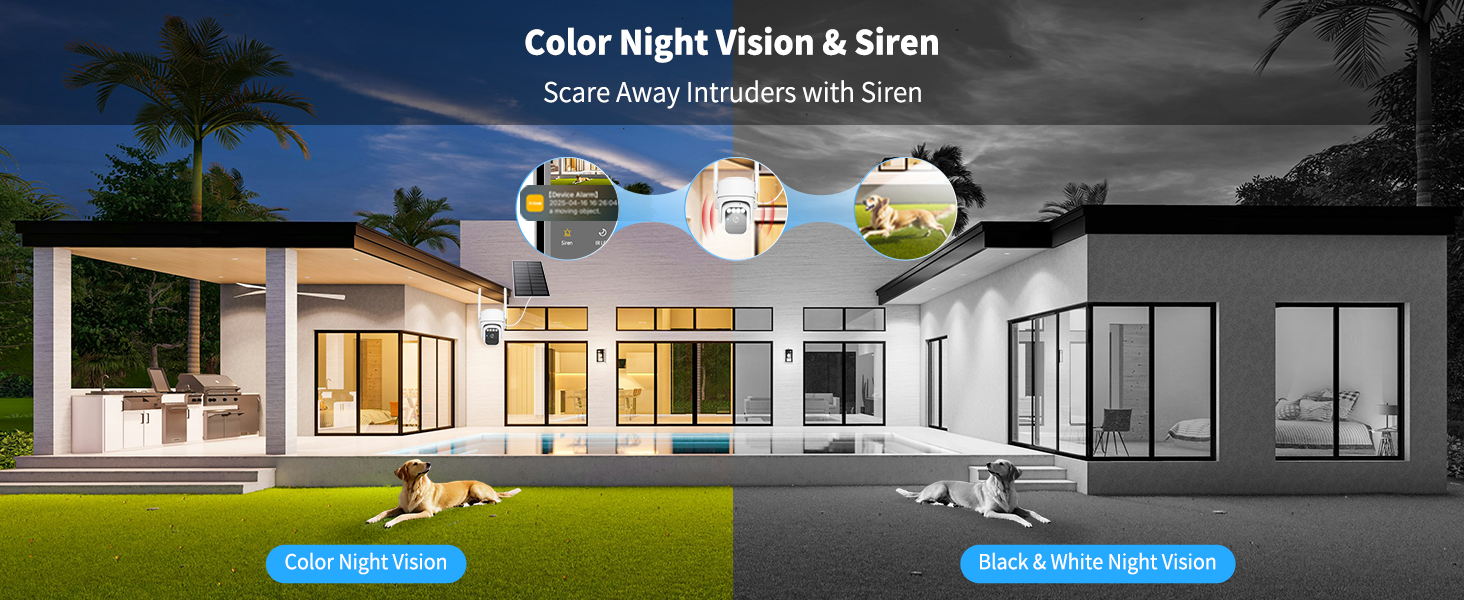 Color Night Version & Siren