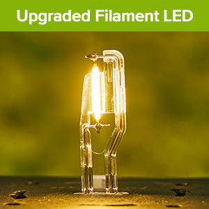 Primer plano de una bombilla LED de filamento de vidrio transparente con componentes internos visibles, que brilla cálidamente sobre un fondo verde