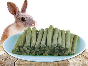 Bunny Chew Stick Rabbit Toy Treat  Molar Stuff Organic Natural  Apple Branch Sweet Bamboo Timothy 