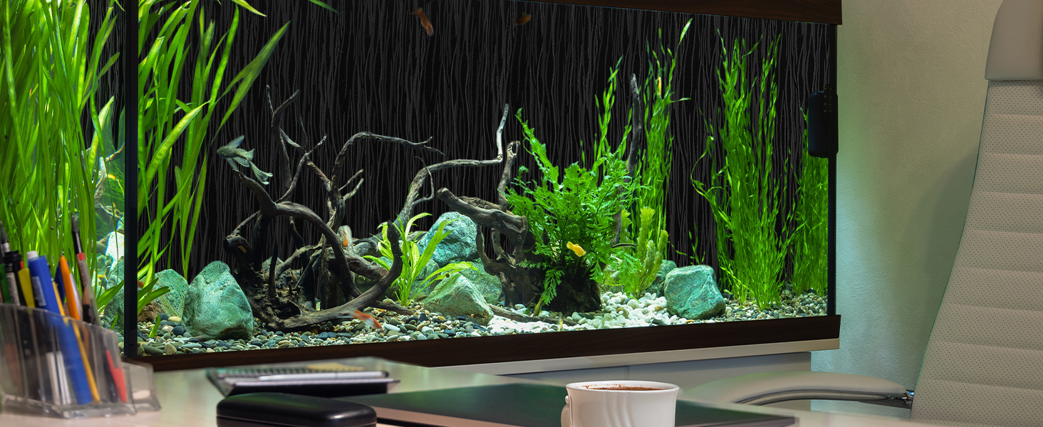 window film