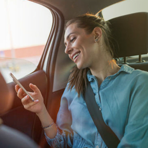 car window sun shade protector