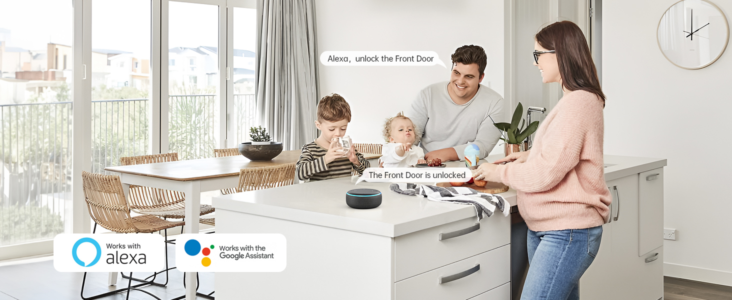 Alexa voice control