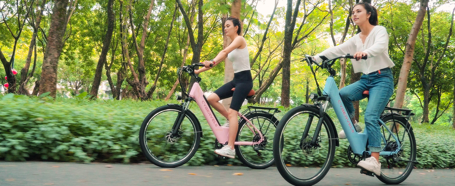 e bike dual motor