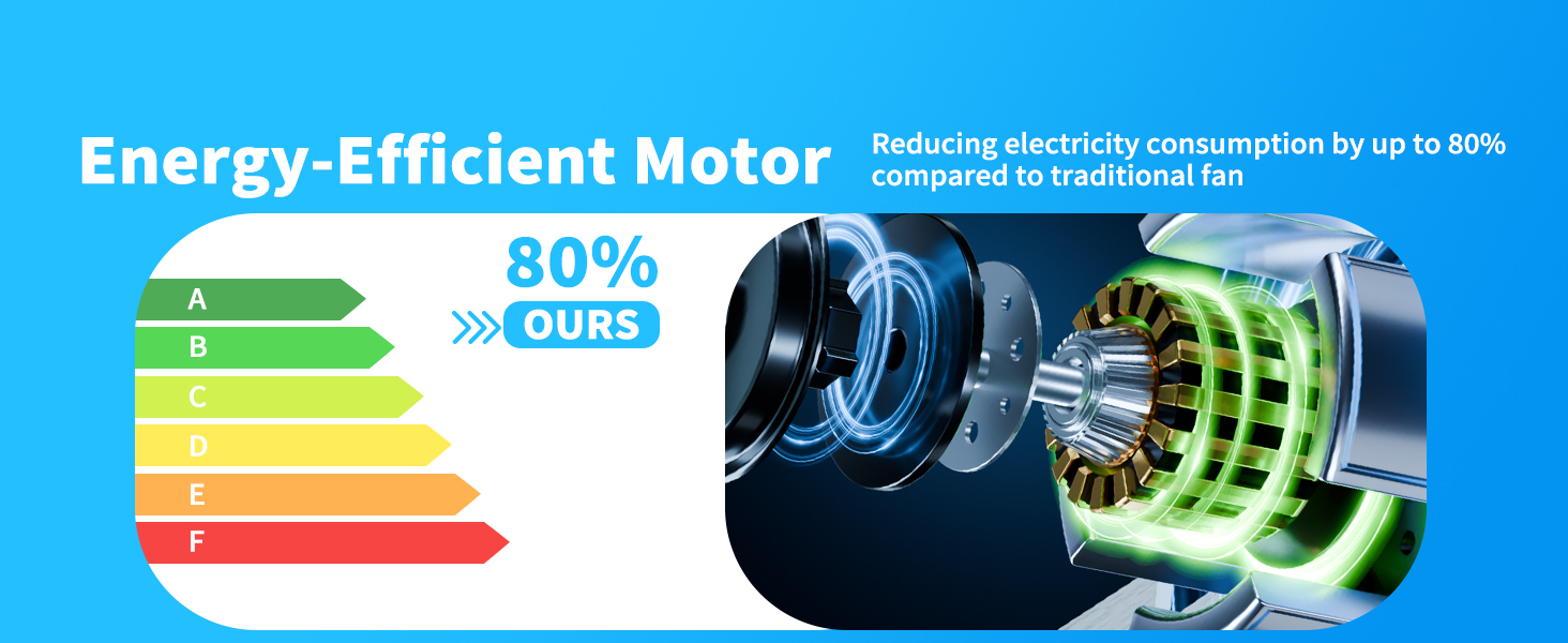 DC motor