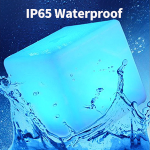 IP65 Waterproof