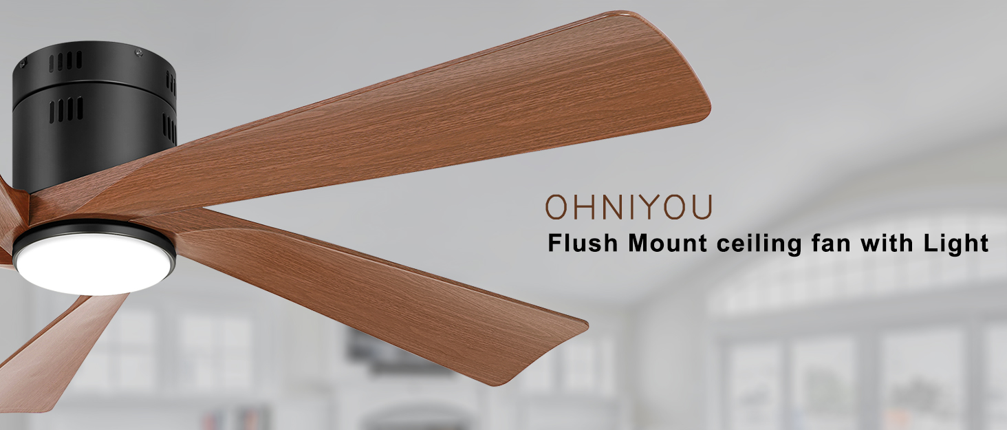 Ohniyou Low Profile Ceiling Fan with Lights and Remote/APP Control, 52