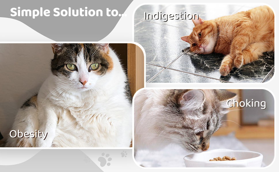 Slow Feeder Cat Bowls Insert Slows Down Pets Eating