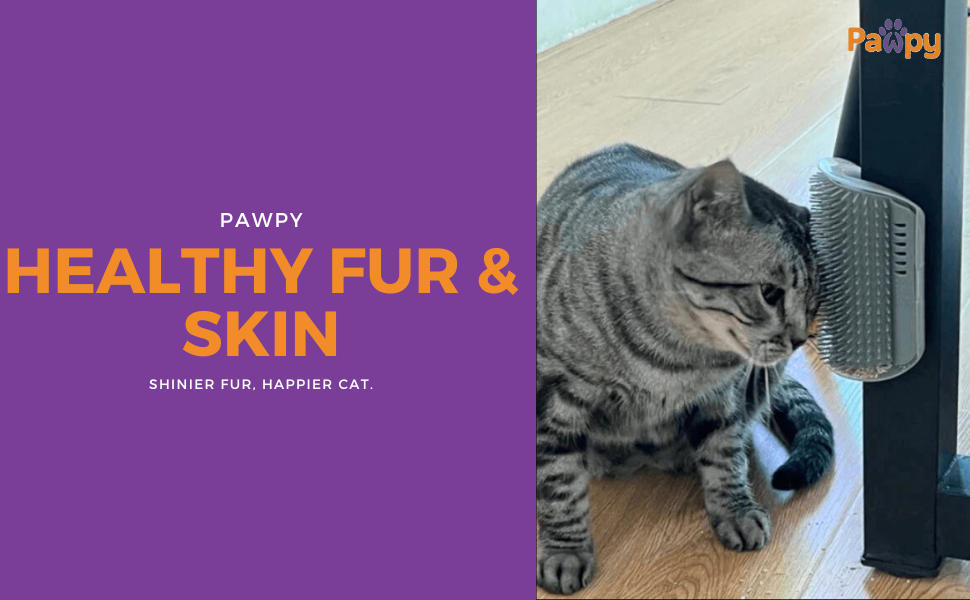 cat self groomer, healthy, skin, fur, cat, pet, groomer