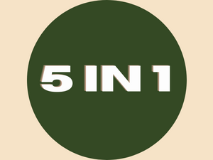 5 in 1