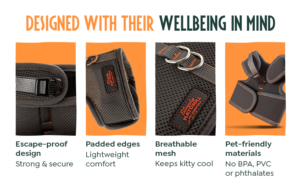 kitten harness and lead set cat lead and harness set cat lead