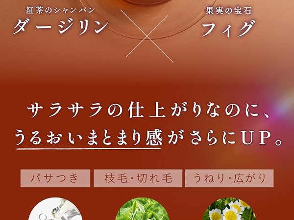 Amazon | coconeクレイクリームシャンプー ウィンター