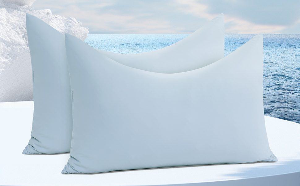 HOMBYS King Size Light Blue Cooling Curved Pillow Cases with Zipper Design - Luxurious & Breathable, Machine Washable B74b8a4a A52d 4501 8024 A89141bcbfe1. CR0,0,970,600 PT0 SX970 V1