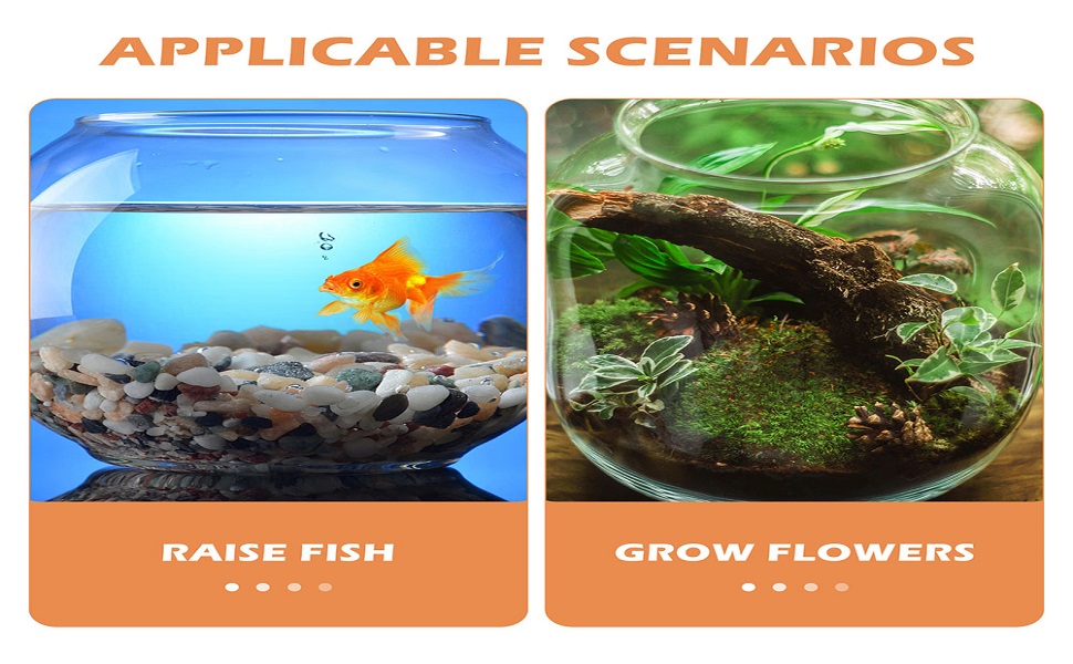 plastic fish bowl
