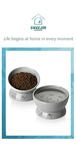 cat bowls