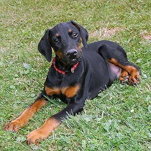 Small manufacture image 2