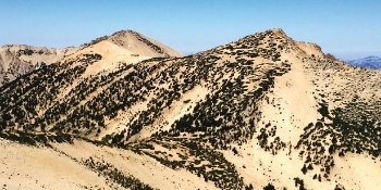 family hikes, day hikes, dog friendly hikes, short day hikes, long day hikes