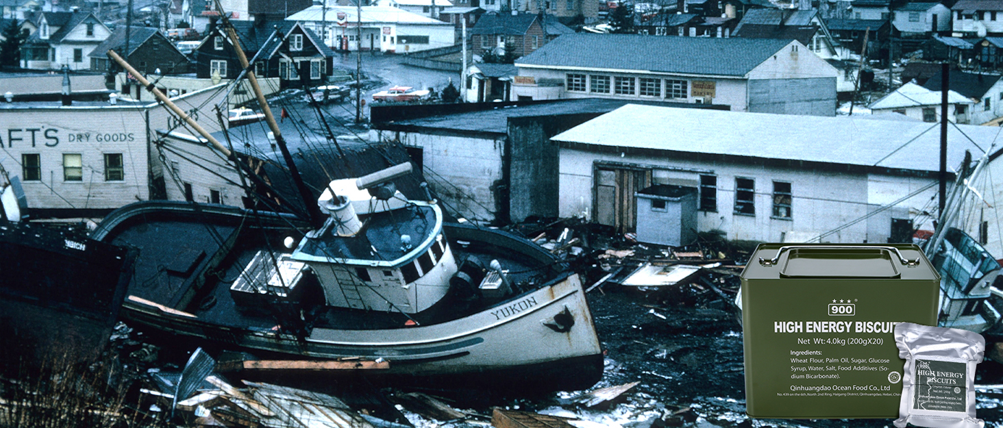 BDH EMERGENCY FOOD RATION BARS