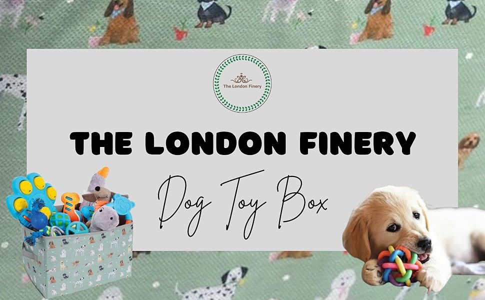 Dog Toy Box