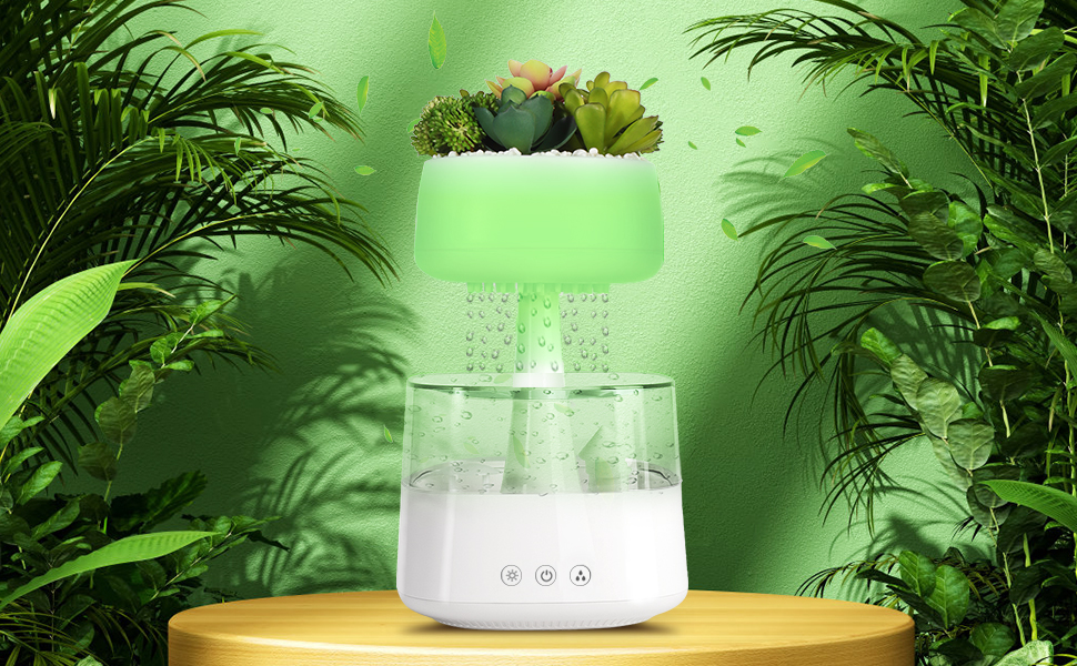 raincloud humidifier