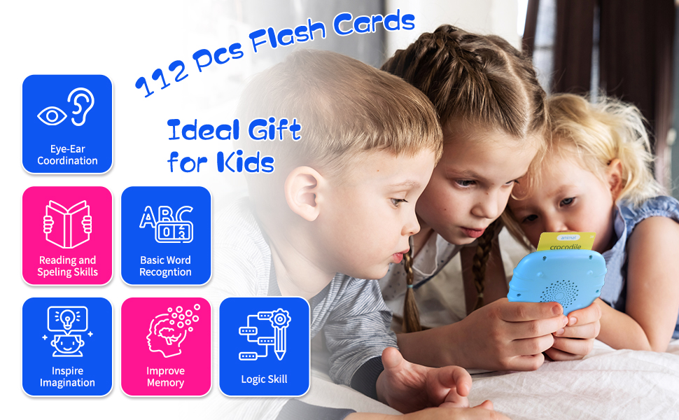 Montessori Toys Flash Cards