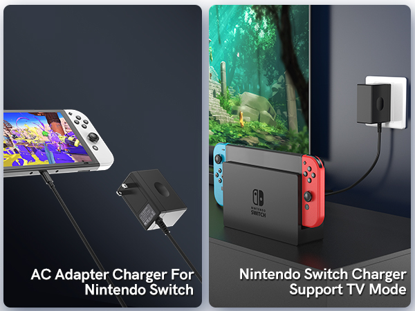 Amazon.com: Charger for Nintendo Switch, YCCTEAM Charger AC