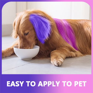 gifts under 10 dollars