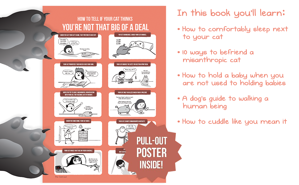 Why My Cat Is More Impressive Than Your Baby (The Oatmeal